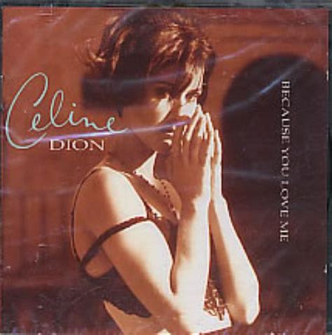céline dion because you love me 1996 cd discogs