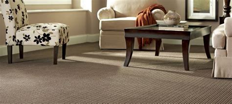 It has long been considered to be the most durable synthetic carpet fiber available (although some would say that ptt triexta is now a worthy. 44 best images about Lowes In-Stock and Express Order ...