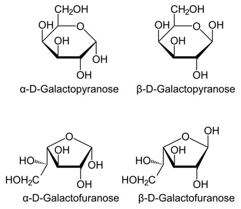 Difference Between Glucose Galactose And Mannose Compare The
