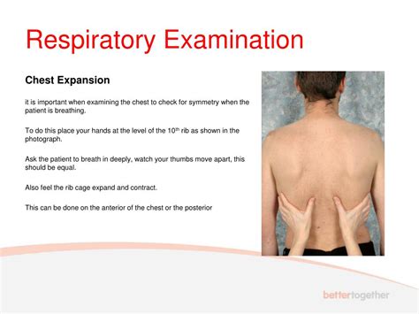 Ppt Uwe Bristol Respiratory Examination Powerpoint Presentation Free