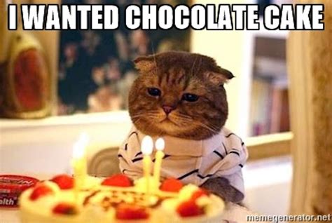 Memes About Chocolate Cake For Chocolate Cake Day That Will Make You