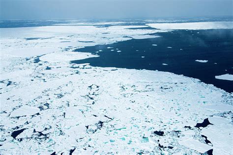 Melting Arctic Sea Ice Photograph By Louise Murrayscience Photo Library