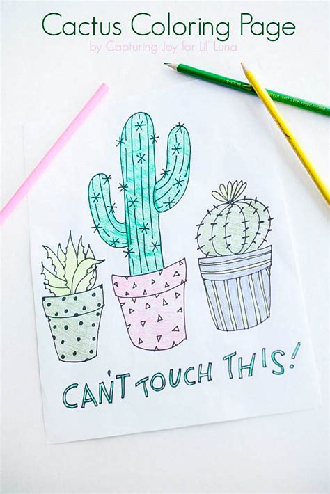 They are able to play games in the nursery like numbers match games and alphabet puzzles and cactus coloring pages. Cactus Coloring Page - Lil' Luna