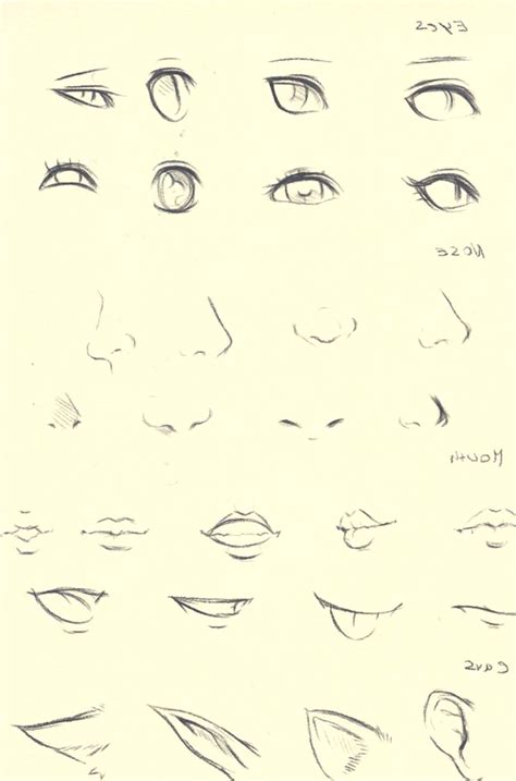 Drawing anime noses front view. 12 Drawing Anime Noses Front View 12 Drawing Anime Noses ...