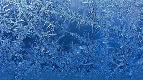 Hd Wallpaper Frosted Glass Download Cold Temperature Winter Frozen