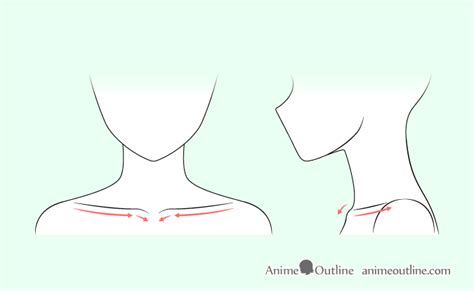 How To Draw Anime Neck And Shoulders Animeoutline