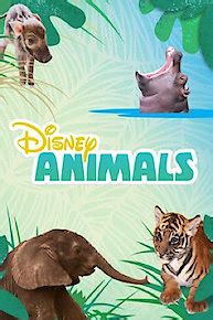 Watch Disney Junior TV Shows Online | Yidio