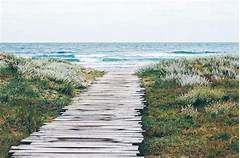 Unveiling The Hidden Gems Top Deals On Craigslist Va Norfolk You Can T Miss