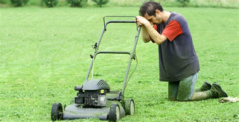 Follow our easy, recommended installation, care and maintenance instructions for a lush, beautiful lawn that will last for years to come. Lawn Service vs. Do It Yourself - Thompson Yards