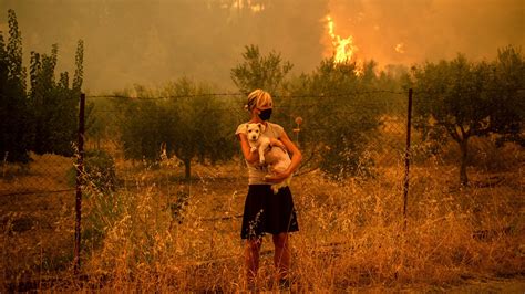 Photos Show Devastating Wildfires In Greece