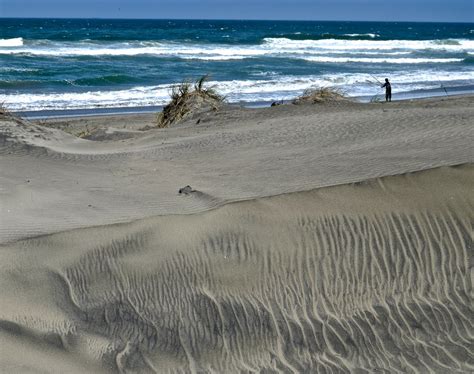 Sand Dunes At Ocean Beach Sf David Mcspadden Flickr