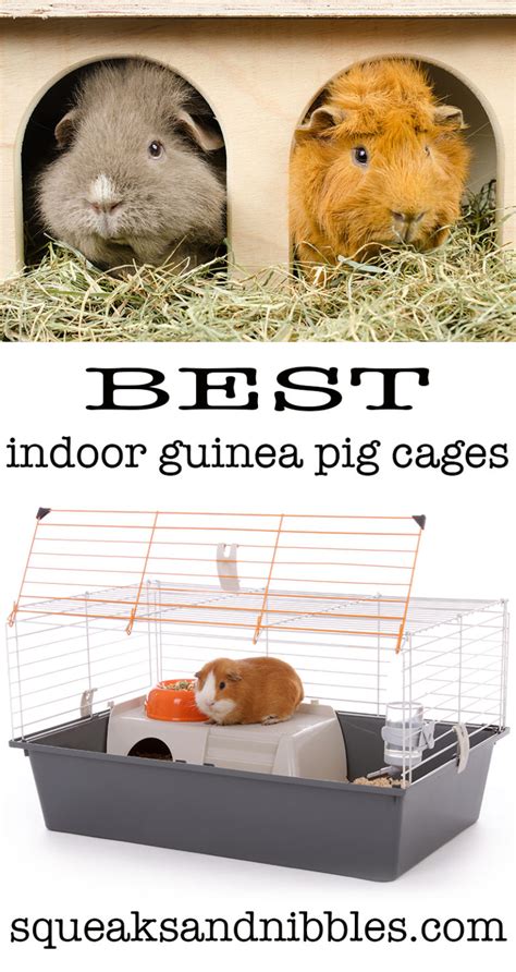 Best Indoor Guinea Pig Cages Hutches And Runs Reviewed