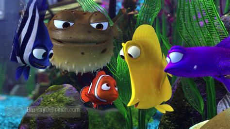 Fish Tank Wallpaper 68 Images