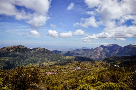 Gambar Pemandangan Pohon Hutan Gurun Gunung Awan Langit Padang