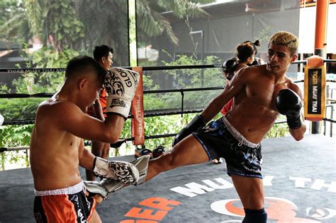 snapshots from todays afternoon muay thai classes here at tiger muay thai tiger muay thai