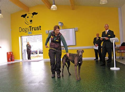 Dogs Trust Has Its Day As Doors Re Open The Evesham Observer