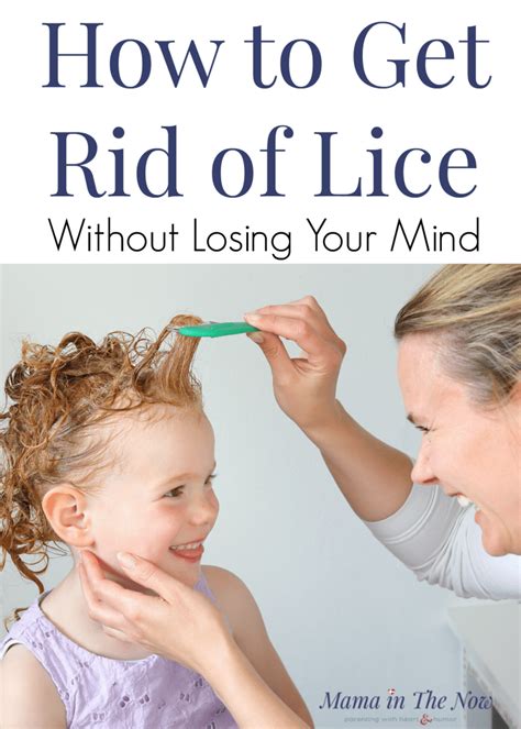 How To Get Rid Of Lice Without Losing Your Mind