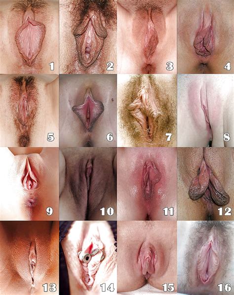 Select Your Favorite Pussy Shape Pics Free Hot Nude Porn Pic Gallery