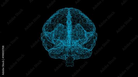 3d Render Xray Style Image Of Human Brain Rotating Blue Abstract
