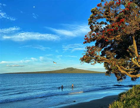 This Is Auckland In Summer Took This Yesterday From Narrow Neck Beach R Auckland
