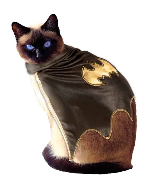 Batman Cape Cat Costume Ubicaciondepersonascdmxgobmx