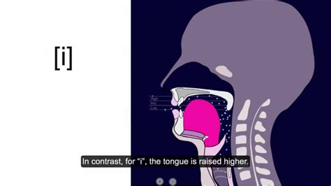 Tlef2014 Intro To Phonetics 2 How We Produce The Speech