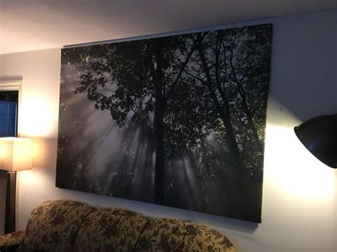 Ikea Premiar Crescendo Of Light Trees Forest Canopy Canvas Wall Art