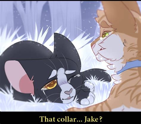 Jake By Stariitea Warrior Cats Comics Warrior Cats Fan Art Warrior