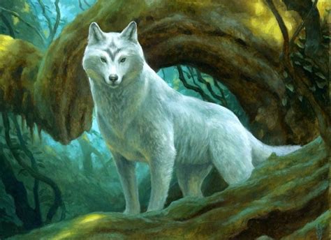 Magic Wolf Fantasy Wolf Mtg Art Anime Wolf