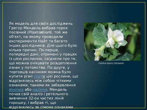 Грегор мендель родился 22 июля 1822 года в городе гинчице, чехия. "Грегор Мендель та його досліди" - презентація з біографії