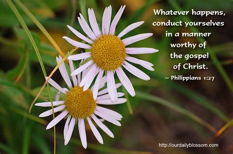 Maybe you would like to learn more about one of these? Pink Daisy Bible Quotes. QuotesGram