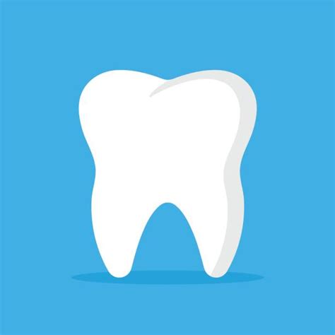 teeth vector illustrations royalty free vector graphics and clip art istock