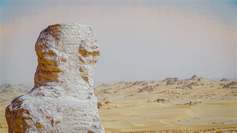 Niya Ruins The Lost Kingdom Buried Under Desert Cgtn
