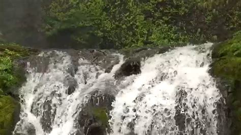 hikers risk lives to grab fake 100 bills littered at top of waterfall wkrc