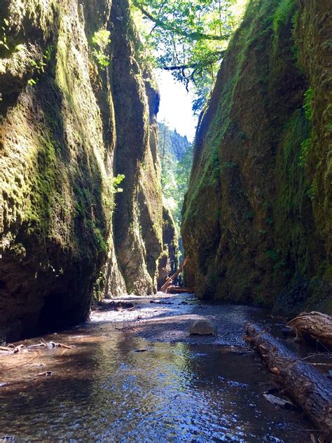 Oneonta Gorge Trail Closed Oregon Alltrails