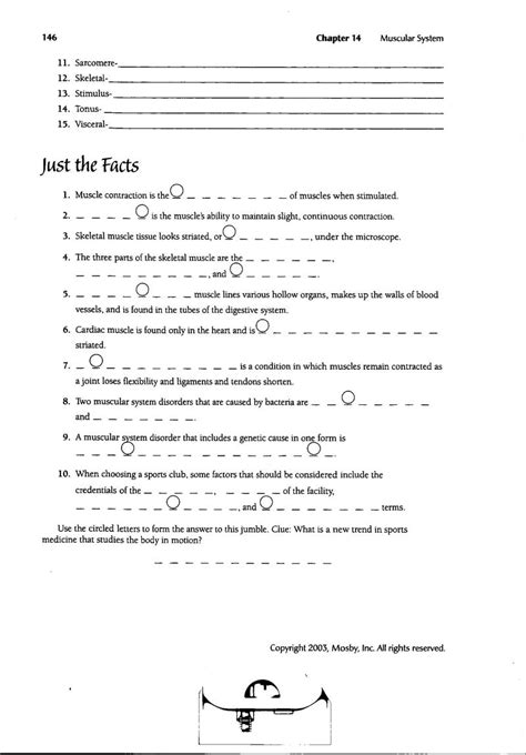 14 Best Images Of Muscle Labeling Worksheet High School