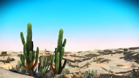 Cacti and similar plants have thick, waxy skins. The sahara desert? - No Mans Sky : NoMansSkyTheGame