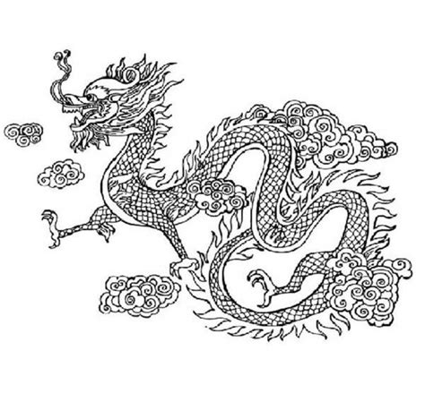Chinese Dragon Colouring In Pictures - Coloring Book Colouring Pages Chinese Dragon Adult Png 