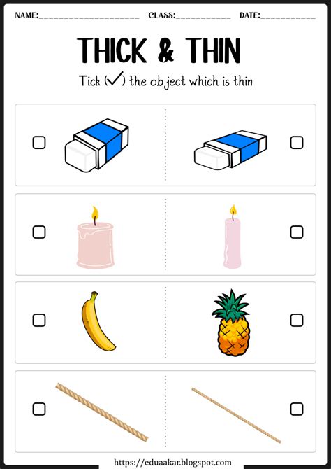 Thick And Thin Worksheets In 2022 Preschool Worksheets Free