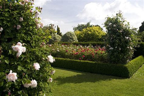 Enjoy entire house to yourself! Read RHS articles about our beautiful Gardens / RHS Gardening