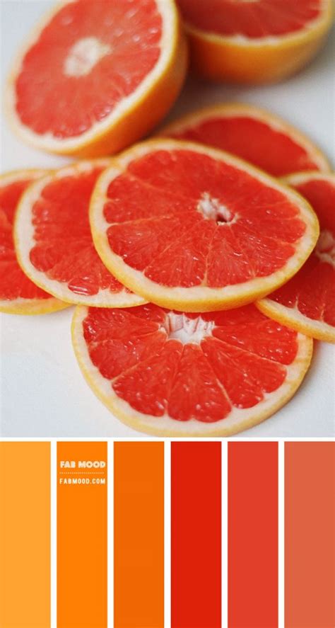 Grapefruit Color Palette Color Palette 63 1 Fab Mood Wedding