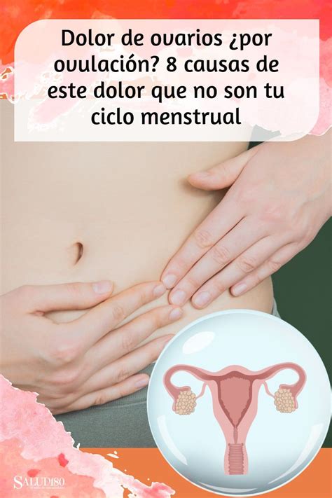 Dolor De Ovarios Por Ovulaci N Causas De Este Dolor Que No Son Tu Ciclo Menstrual En