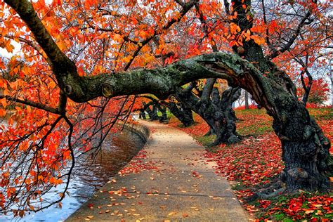 Hd Wallpaper Nature River Bench Water Park Trees Leaves Colorful Autumn