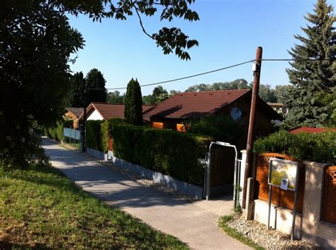 Die kosten bemessen sich an der größe des gartens. Schrebergarten pachten