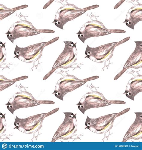 Tufted Titmouse Bird Vector Illustration Clip Art Graphic Design 72049587