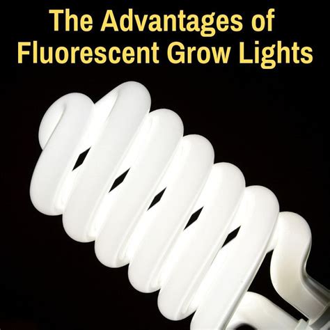 Top 5 best cfl grow light reviews. Benefits Of Fluorescent Lighting For Growing (What Makes ...