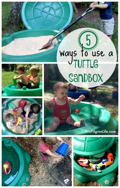 Subscribe to livegore.com by email to get live updates! Five Ways to Use A Turtle Sandbox | Little tikes turtle ...