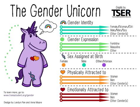 The Gender Unicorn Bisexual