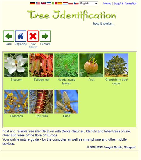 Most plant identification apps have the ability to identify plants, fruits, flowers, and vegetation from the traits or images. Tree identification - Android Apps on Google Play