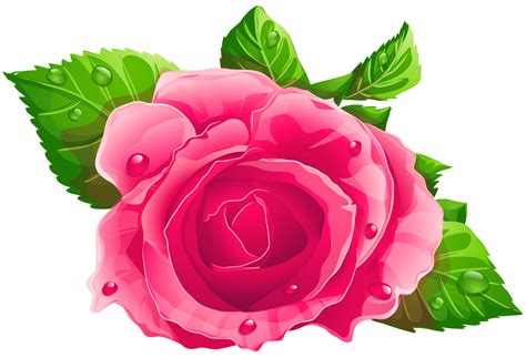 Flor Rosa Png Png Image Collection